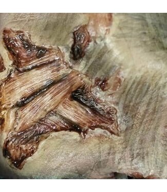 Tinsley FX Transfers - Zombie Gash