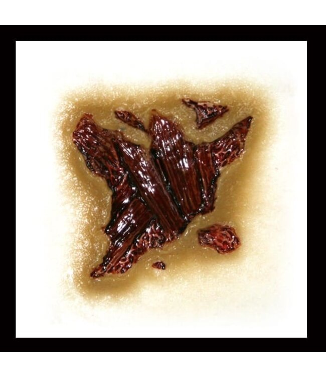 TINSLEY TRANSFERS FX Transfers - Zombie Gash