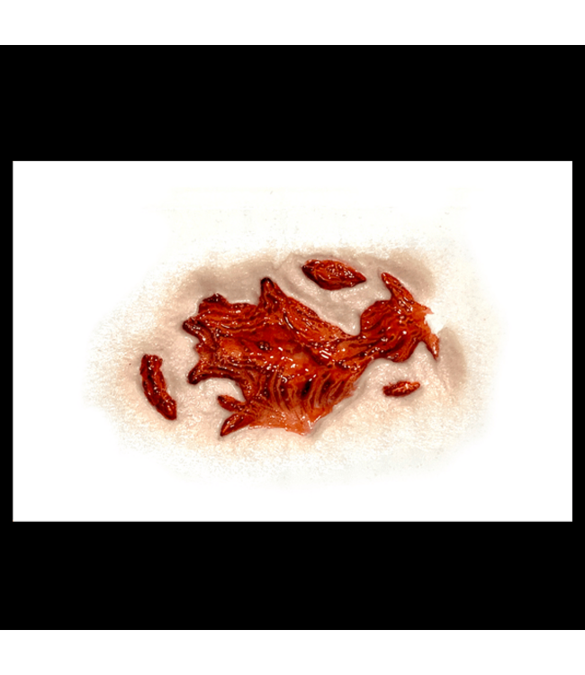 TINSLEY TRANSFERS FX Transfers - Gash