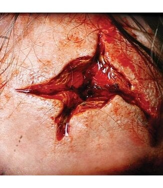 TINSLEY TRANSFERS FX Transfers - Point Blank