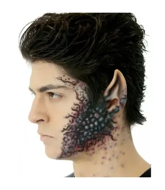 WOOCHIE Space Ear Tips Large