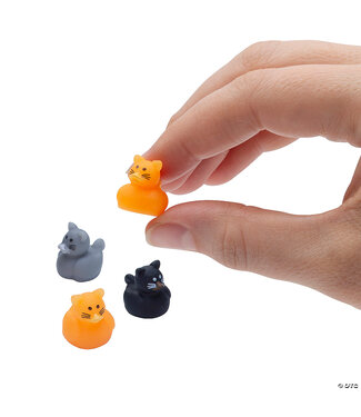 FUN EXPRESS Micro Cat Rubber Ducks - 12 Count