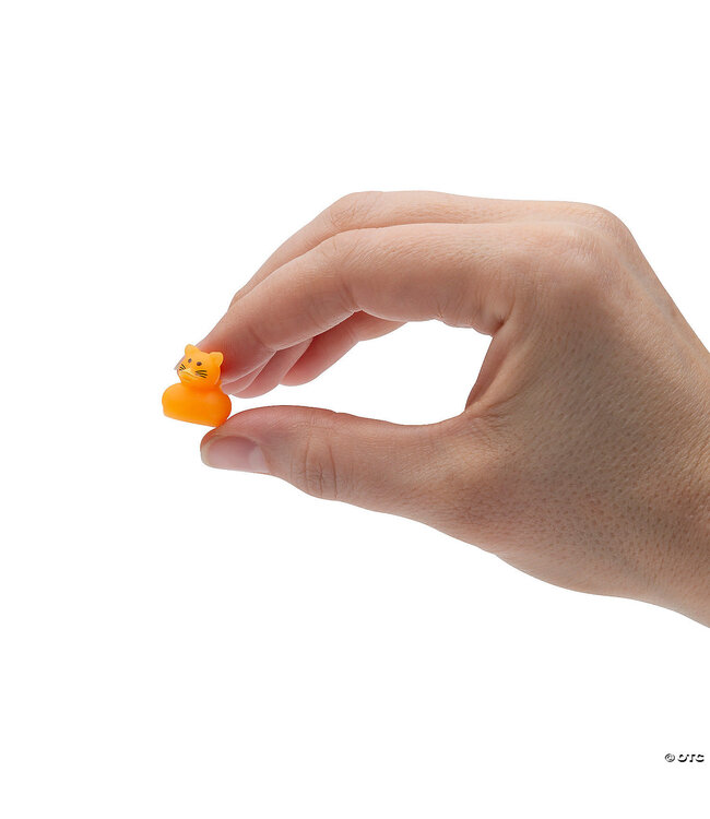 FUN EXPRESS Micro Cat Rubber Ducks - 12 Count