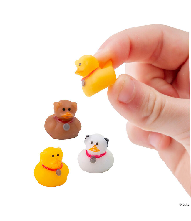 FUN EXPRESS Micro Multicolor Dog Rubber Ducks - 12 Count