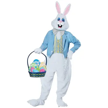 Wearables & Accessories