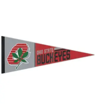 WINCRAFT Retro Ohio State Pennant Banner