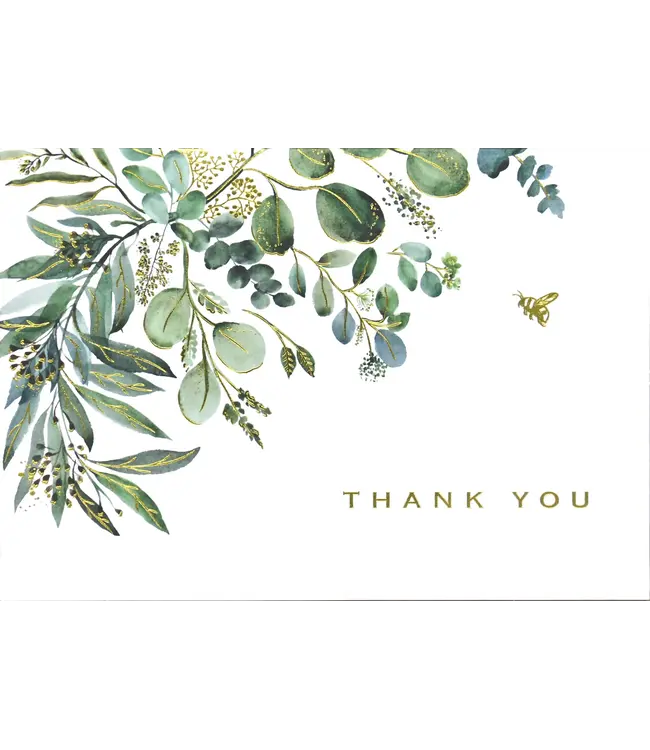 PETER PAUPER PRESS Eucalyptus Thank You Note Cards - 14 Count