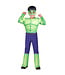 DISGUISE HULK
