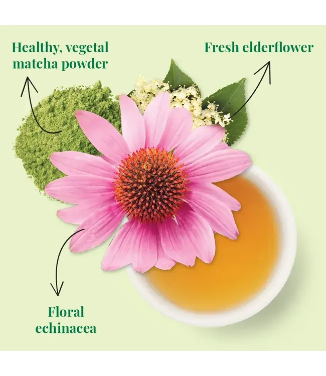 THE REPUBLIC OF TEA Super Green Immunity Green Tea Bags - 36ct