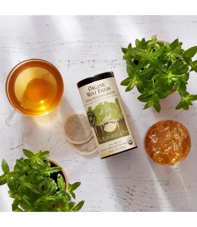 THE REPUBLIC OF TEA Organic Mint Fields Tea Bags - 36ct