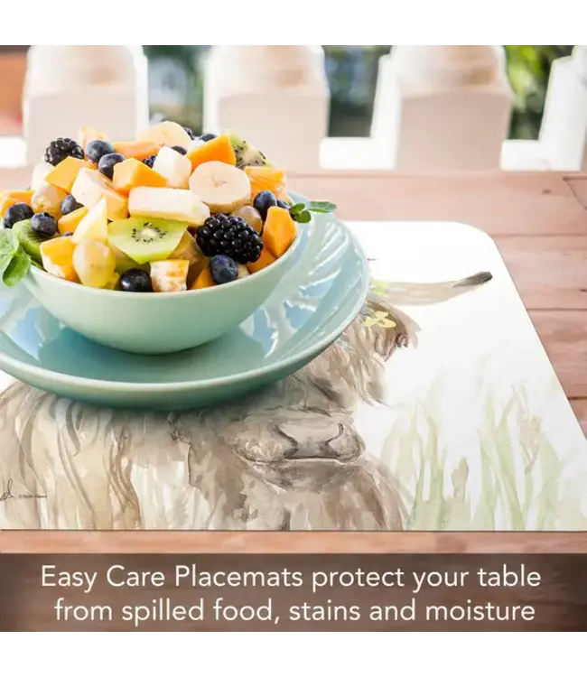 HIGHLAND HOME Home on The Range Reversible Easy Care Flexible Placemat