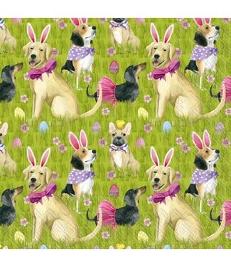 BOSTON INTERNATIONAL Bunny Dogs Lunch Napkins - 16ct
