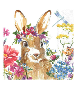 BOSTON INTERNATIONAL Isa Easter Beverage Napkins - 20ct