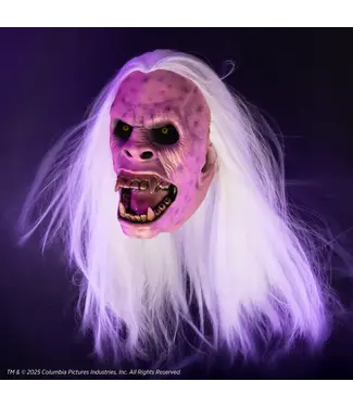 TRICK OR TREAT Ghostbusters Library Ghost Mask