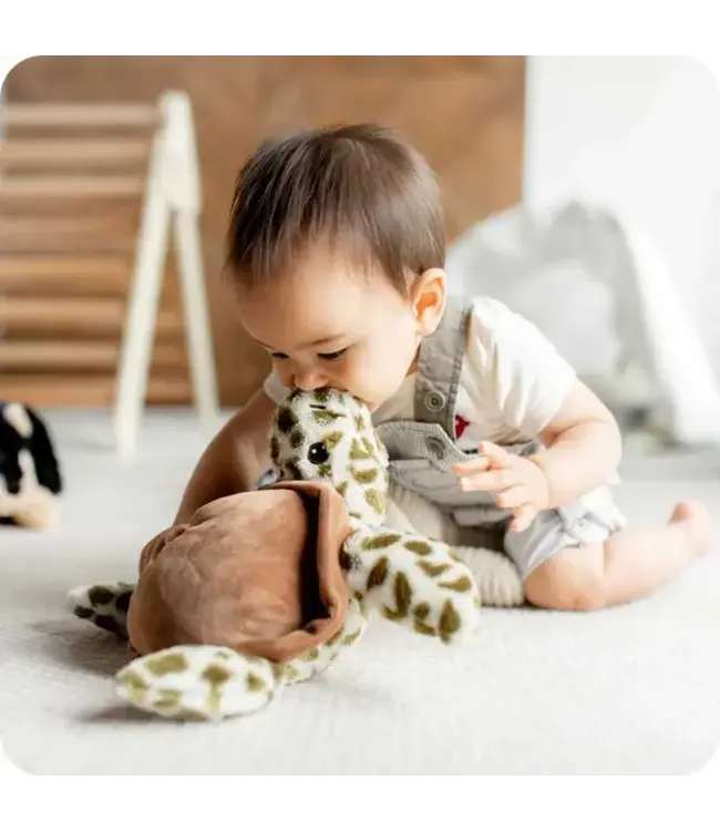 WARMIES Turtle Warmies