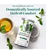 THE REPUBLIC OF TEA Organic American Peppermint SuperHerb® Herbs Of Origin Tea Bags