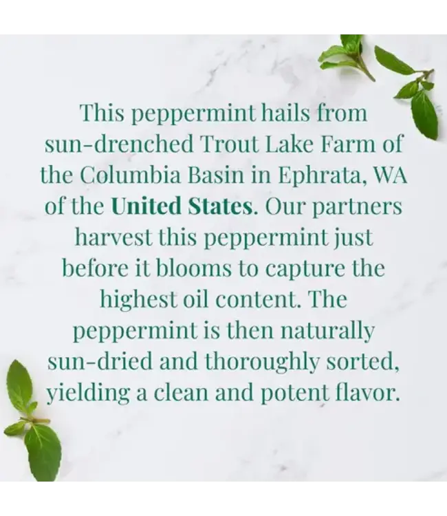 THE REPUBLIC OF TEA Organic American Peppermint SuperHerb® Herbs Of Origin Tea Bags