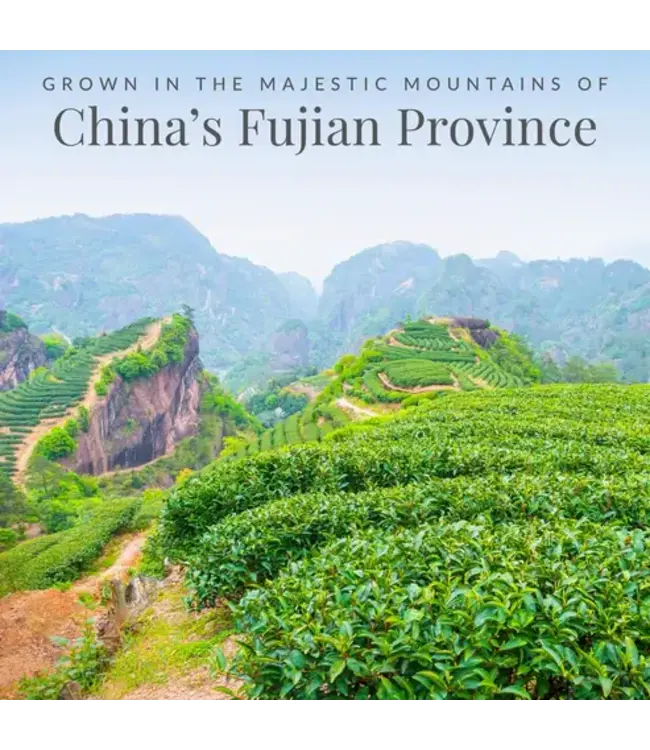 THE REPUBLIC OF TEA Cucumber Mint 100% White Tea Bags