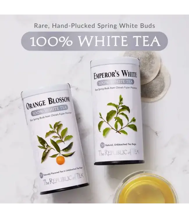 THE REPUBLIC OF TEA Cucumber Mint 100% White Tea Bags