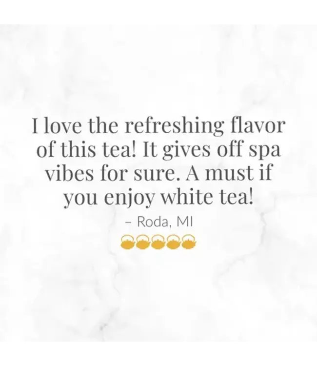 THE REPUBLIC OF TEA Cucumber Mint 100% White Tea Bags