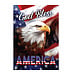 BRIARWOOD LANE God Bless America Eagle Patriotic House Flag