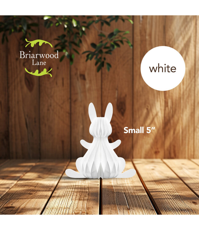 BRIARWOOD LANE White Bunny Honeycomb - Small Magnetic Paper Decor - 5 x 5