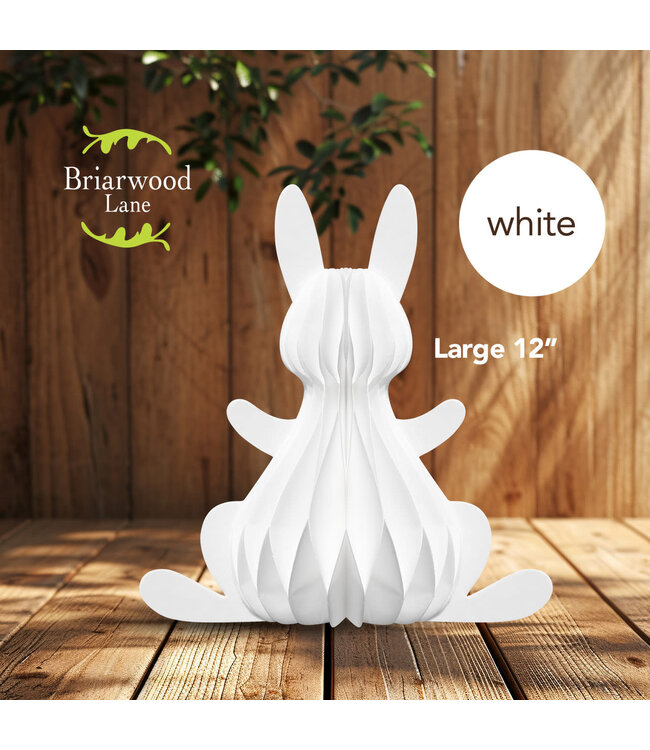 BRIARWOOD LANE White Bunny Honeycomb - Large Magnetic Paper Decor - 12 x 9