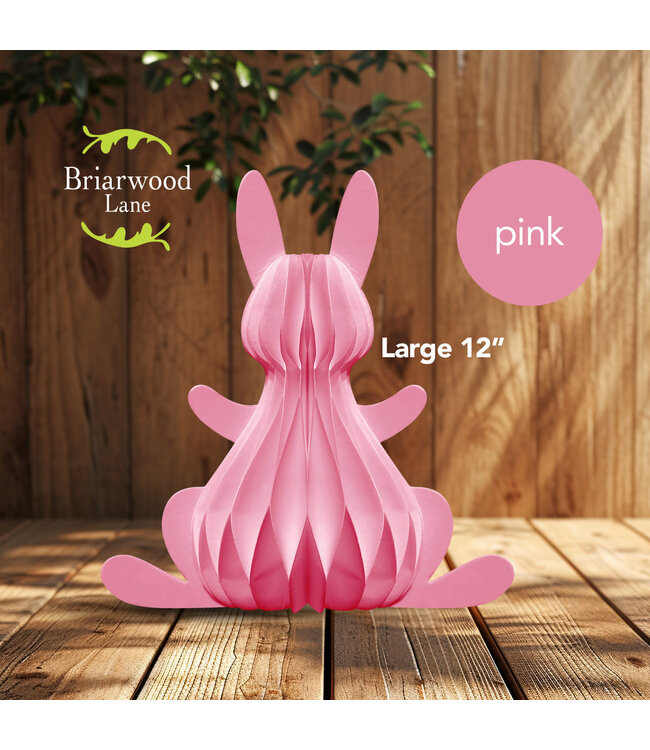 BRIARWOOD LANE Pink Bunny Honeycomb - Large Magnetic Paper Decor - 12 x 9
