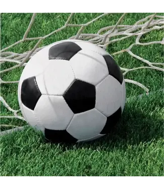 Creative Converting Sports Fanatic Soccer Luncheon Napkins - 16 Count