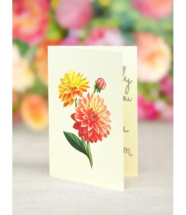 Fresh Cut Paper Mini Dahlia Sunrise Greeting Card