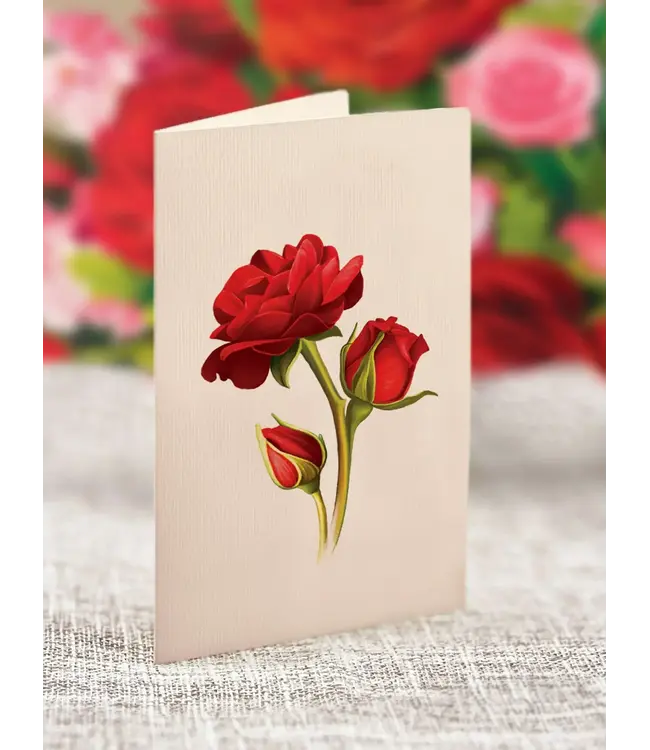 Fresh Cut Paper Blooming Roses Pop Up Flower Bouquet