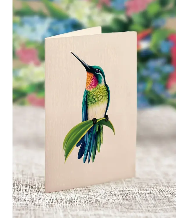 Fresh Cut Paper Hummingbird Oasis Pop Up Flower Bouquet
