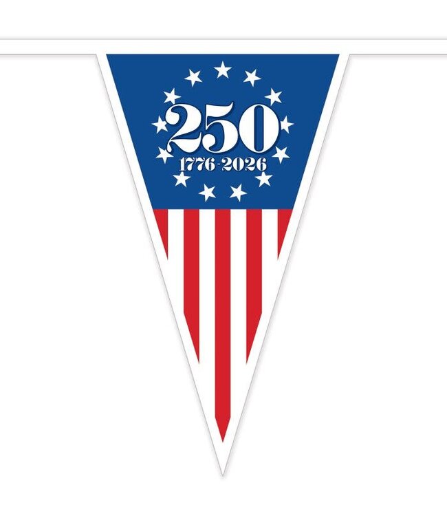 BEISTLE 10FT PENNANT BANNER 250 YEARS