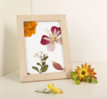 Art Frame | Pressed Flower