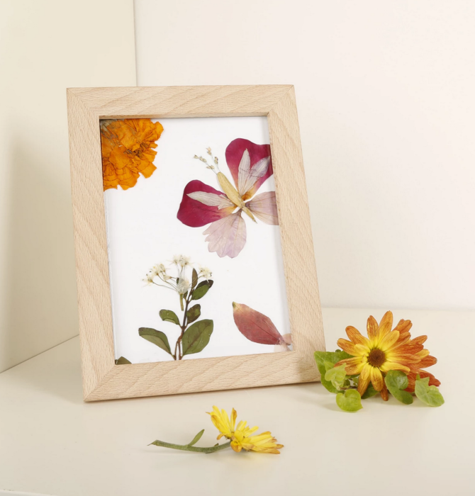 Frame | Pressed Flower Art