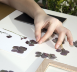 Art Frame | Pressed Flower