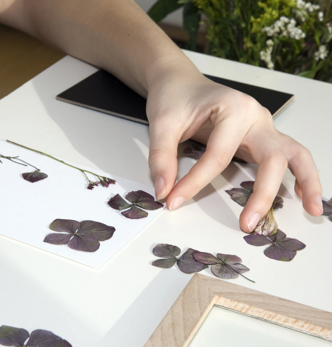 Art Frame | Pressed Flower