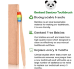 Toothbrush | Bamboo | Rainbow Bristles