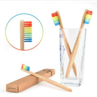 PLENTY Toothbrush | Bamboo | Rainbow Bristles