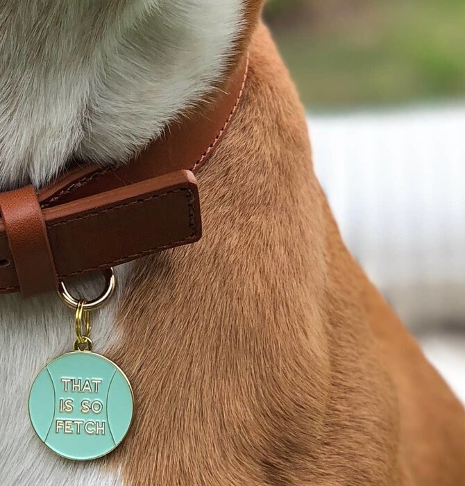 Pet ID Tag | That is so Fetch