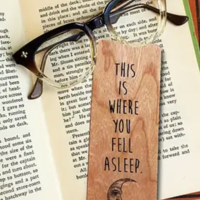Fly Paper Wooden Bookmark | Fell Asleep