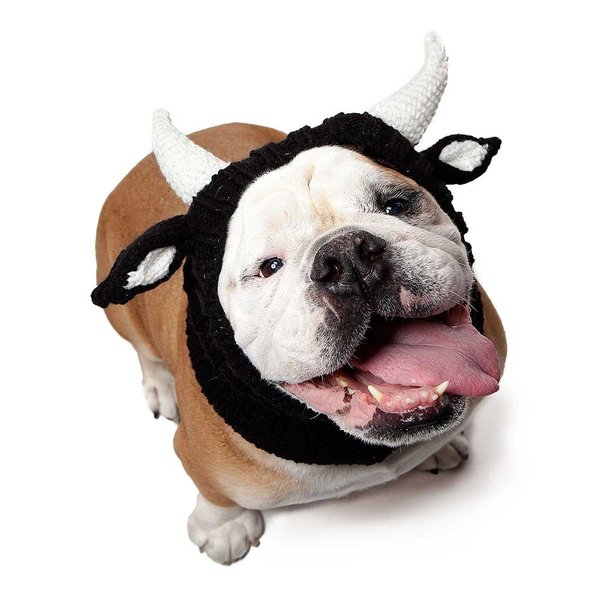 Zoo Snoods Dog Hat Zoo Snood | Bull