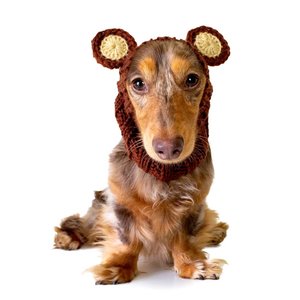 Zoo Snoods Dog Hat Zoo Snood | Grizzly Bear