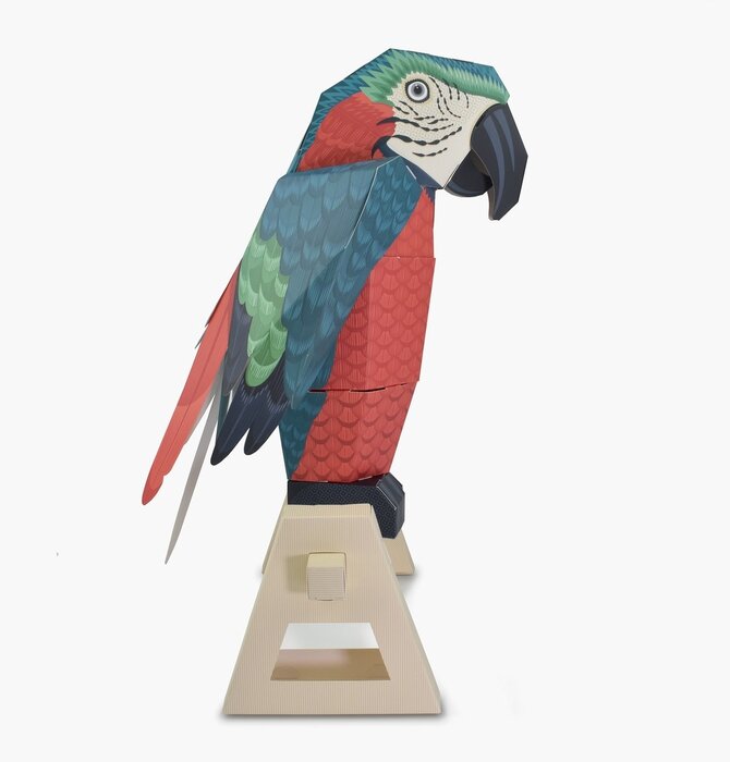 3D Parrot | Create Your Own