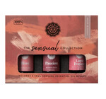 Essential Oil Collection | Sensual