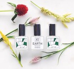 Perfume Oil | Blends