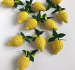 Earrings | Large Fruit Iraca