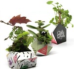 Planters | Origami