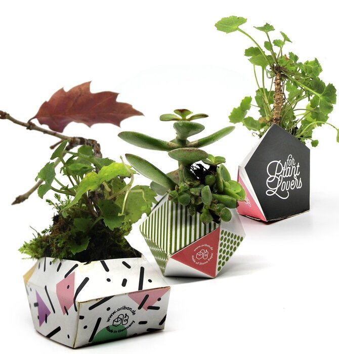 Planters | Origami