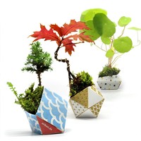 OriBon Planters | Origami